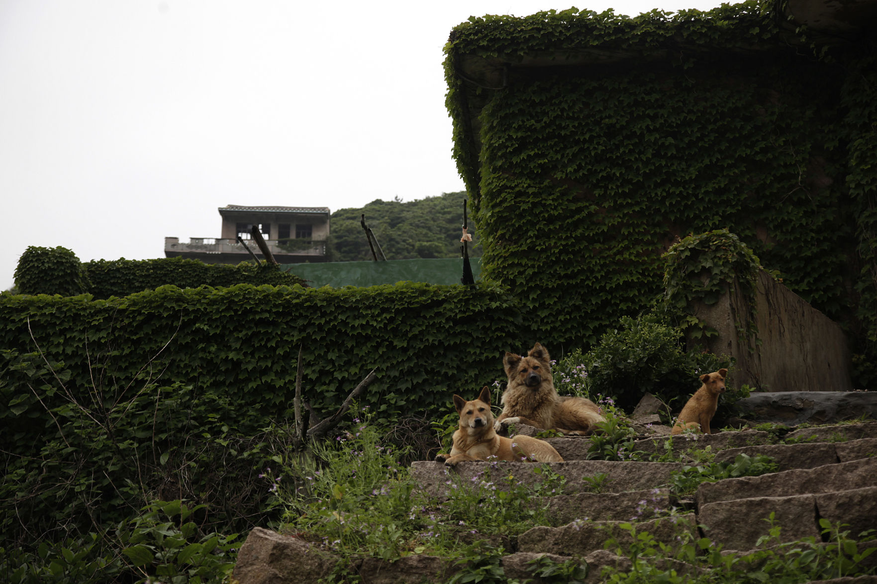 China Travel Ghost Village